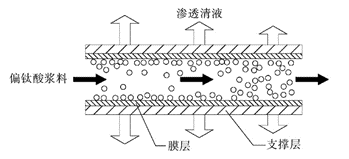 1709860834317445.png 640 (2).png